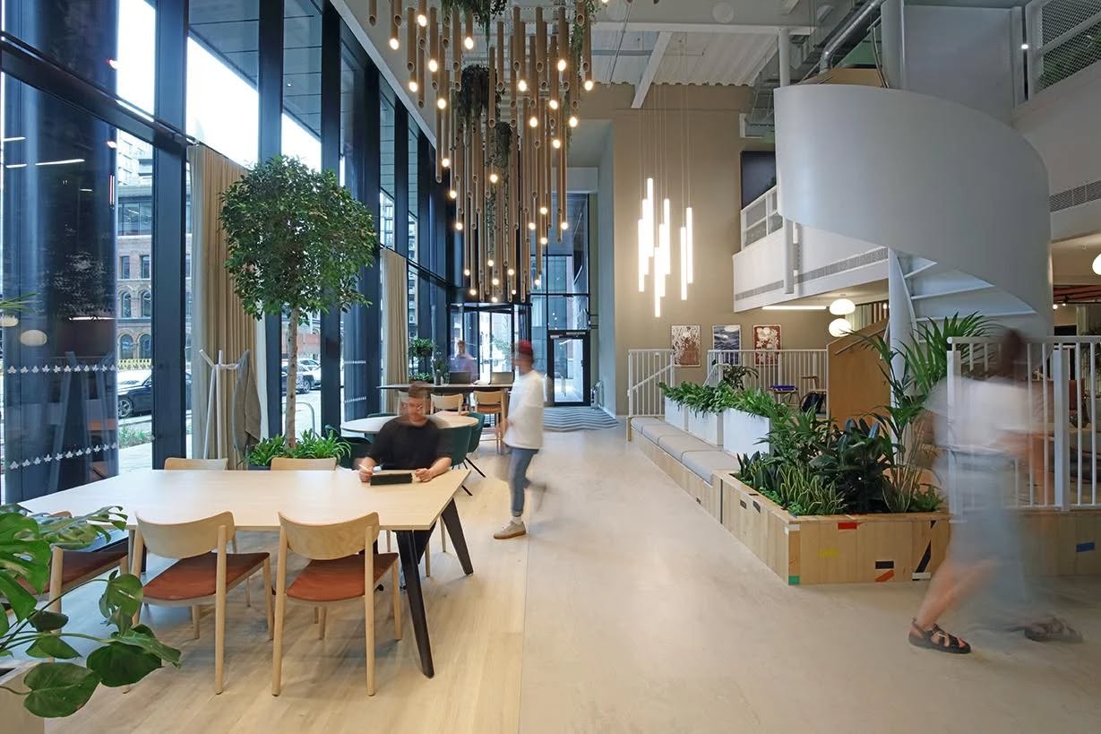 light_forms_ltd
