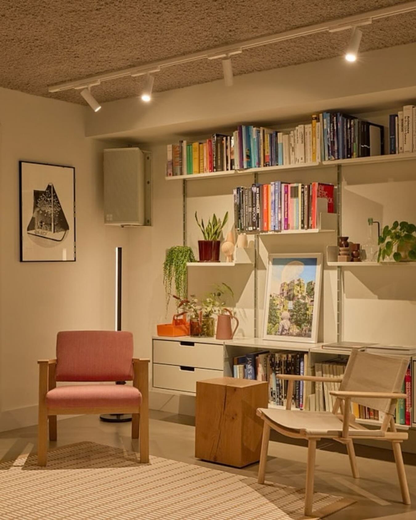 View this post on Instagram