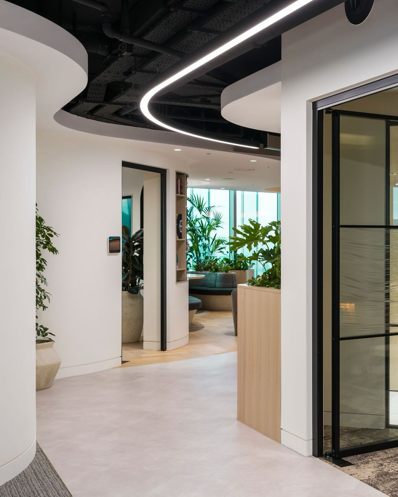 light_forms_ltd