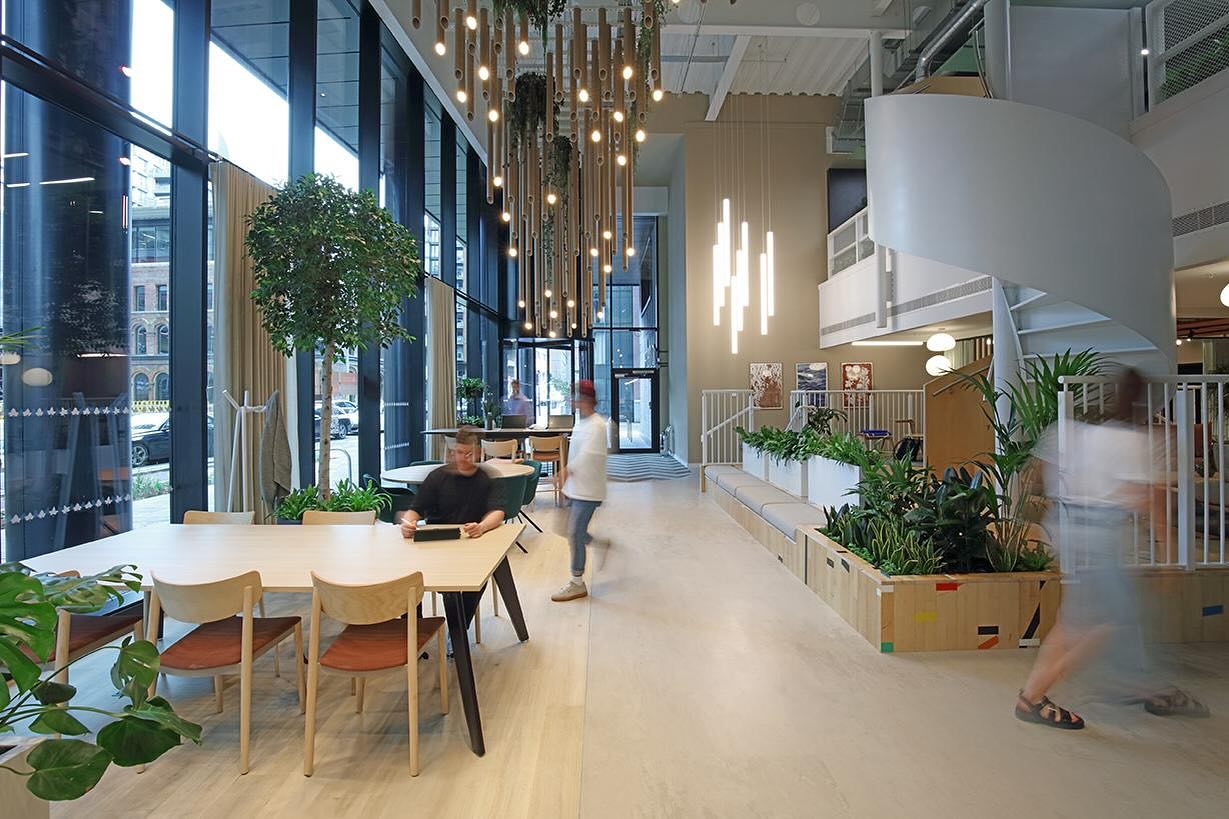 light_forms_ltd